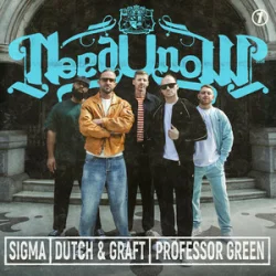 Pochette Sigma & Dutch & Graft & Professor Green - NEED U NOW