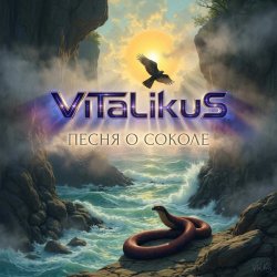 Pochette ViTaLiKuS - Песня о Соколе