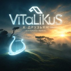 Pochette ViTaLiKuS - К друзьям (Extended Remix)