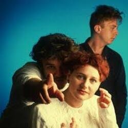 Pochette Cocteau Twins - Kookaburra