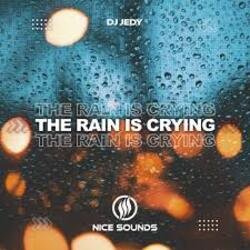 Pochette DJ JEDY - The Rain Is Crying