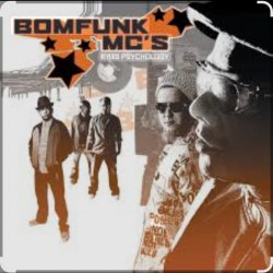 Pochette Bomfunk MC's - Foxy Lady
