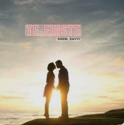 Pochette DNDM & Davvi - Te Fuiste