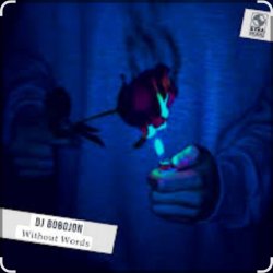 Pochette Dj Bobojon - Without Words