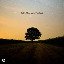 Pochette AVE - Meet Me In The Dark