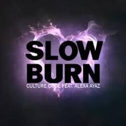 Pochette NEIMXX - Slow Burn
