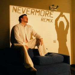 der Flaum - nevermore (remix)