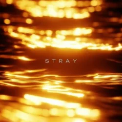 Pochette R3DN1K - Stray