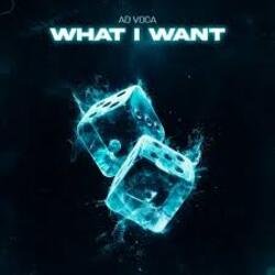 Pochette Ad Voca - What I Want
