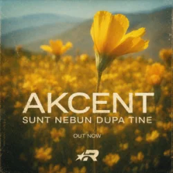 Pochette Akcent - Sunt nebun dupa tine