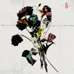 Pochette Shinedown - Burning Down The Disco