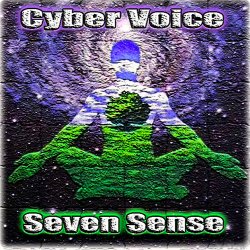 Pochette Seven Sense (Mix)