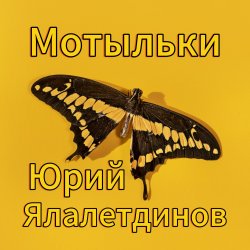 Pochette Юрий Ялалетдинов - Мотыльки