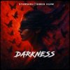 Pochette STXRSHOV & Daria Kupr - Darkness STXRSHOV & Daria Kupr - Darkness