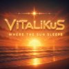 Pochette ViTaLiKuS - Where the Sun Sleeps ViTaLiKuS - Where the Sun Sleeps