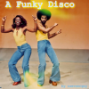 Pochette zaevsergey - A Funky Disco zaevsergey - A Funky Disco
