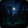 Pochette Dj Calma - Silent Distance (Original Mix) Dj Calma - Silent Distance (Original Mix)