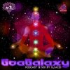 Acid Mike - Goa Galaxy TimeWarp, Vol.3 By DJ Acid Mike (DJ Mix)
