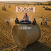 DJ GUSLI - На сенокосе