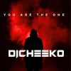 Pochette DICHEEKO - White Man Keeps Me Down DICHEEKO - White Man Keeps Me Down