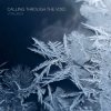Pochette ViTaLiKuS - Calling Through the Void ViTaLiKuS - Calling Through the Void