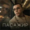 Pochette Wellboy - Пасажир Wellboy - Пасажир