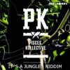 Pochette Pisces Kollective, Alev - Little China (Original Mix) Pisces Kollective, Alev - Little China (Original Mix)