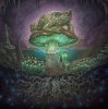 Pochette GABBГ - Mycelium Protocol GABBГ - Mycelium Protocol