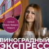 Pochette CjVitoS, Борис Бредин, Маруся - Виноградный экспресс 2.0 CjVitoS, Борис Бредин, Маруся - Виноградный экспресс 2.0