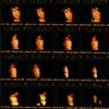 Pochette Земфира - Жужа Земфира - Жужа