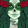 Pochette Shiny Radio - Read My Lips (Original Mix) Shiny Radio - Read My Lips (Original Mix)
