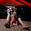 Pochette Lady XO - BEAT THE ODDS Lady XO - BEAT THE ODDS