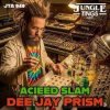 Pochette Dee Jay Prism - Girls Dem (RMS remix) Dee Jay Prism - Girls Dem (RMS remix)