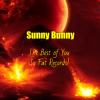 Pochette Sunny Bunny - The Best of You So Fat Records! Sunny Bunny - The Best of You So Fat Records!