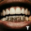 TroyBoi & Shiwa - Jungle