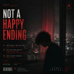 Pochette Ahmet Demiray & ATTILA - Why Didn't You Tell Me