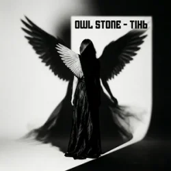 Pochette Owl Stone - Тінь