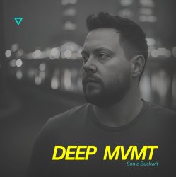 Pochette Sonic Buckwit - DEEP MVMT