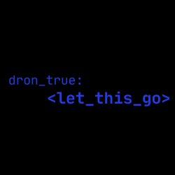 Pochette DRoN TRuE - Let This Go