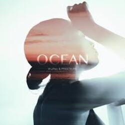 Pochette W.J.Rec, FRXSTBURN - Ocean