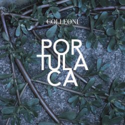 Pochette Colleoni - Senza Primavera