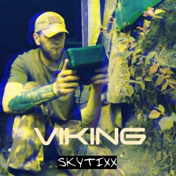 Pochette Viking (Original Mix)