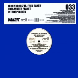 Pochette Terry Bones vs. Fred Baker pres. Water Planet - Introspection (John Askew Remix)