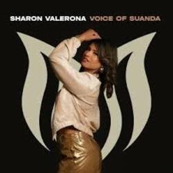 Pochette Aurosonic & Sharon Valerona - Horizon (Extended Mix)