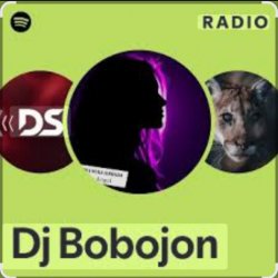 Pochette Dj Bobojon - My Sweet Melody