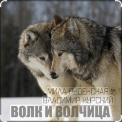 Мила Руденская & Владимир Курский - Волк и волчица