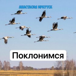 Pochette Анастасия Иркутск - Поклонимся