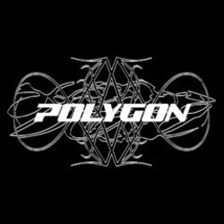 Pochette Polygon - The Machine (Teddy Killerz Remix)