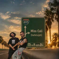 Pochette Morandi - Miss Cali (Hallelujah)