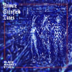 Pochette Private Cornfield Tunes - Narcotic Fog Syndicates